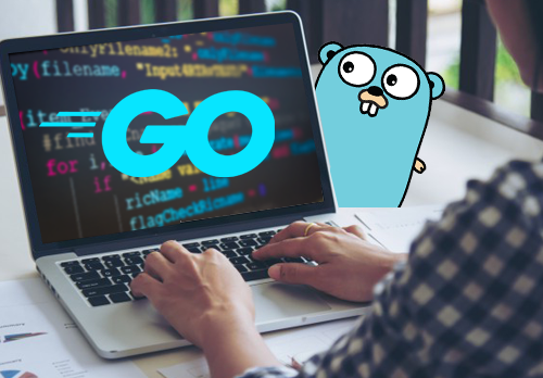 Can GoLang be the best programming language for business 2019-small