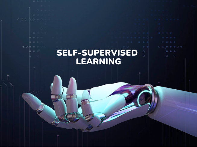 Fusion Informatics - self supervised learning: an overview